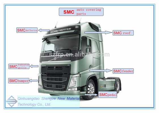 Assemblée adaptée aux besoins du client de transporteur de module d'extrémité avant des véhicules à moteur de la technologie SMC et de RTM de taille